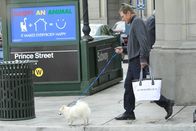 How I Met Your Mother – Die Freunde treffen auf der Strasse auf Maury Povich (Maury Povich) ...