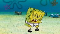 SpongeBob Schwammkopf – SpongeBob