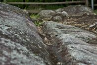 Faszination Heimat – Ohne die Elemente Feuer, Wasser, Erde und Luft wäre das Leben auf der Erde nicht möglich. Besonders in den Alpen haben die Wirkungsmächte ihre Spuren hinterlassen und eine eindrucksvolle Landschaft und Natur geformt. Doch was bedeutet es im Einklang mit den Naturgewalten zu leben? Die n-tv Dokumentationsreihe zeigt die eindrucksvolle Bergwelt der Alpen und erklärt, wie das Leben und die Kultur der Alpenbewohner durch die Kräfte der Natur bestimmt wird
