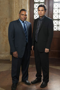 Law & Order – Law & Order (2010)