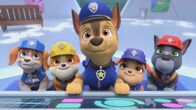 Rubble und Crew – v.li.: Wheeler, Rubble, Chase, Mix, Charger