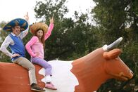 The Middle – Brad (Brock Ciarlelli, l.); Sue (Eden Sher, r.)