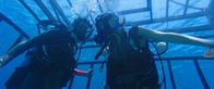 47 Meters Down – Beim Hinablassen des Käfigs reißt das Sicherheitsseil, das Lisa (Mandy Moore, l.) und Kate (Claire Holt) auf den Meeresgrund schickt.