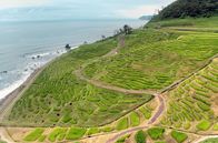 Japan von oben – Honshu – Die Reisterrassen von Shiroyone auf der Halbinsel Noto mit Blick aufs Meer