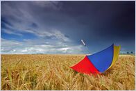 Wetter-Panorama – Wetter - Generic