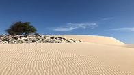Im Land der Feuerberge – Der Wüstensand auf der Insel Boa Vista bildet die schönsten Sandstrände der Kapverden.