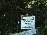 Unheimliche Videos - Wahrheit oder Fake? – Bigfoot Area Schild!