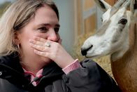 Impact – Amila Redzic und eine Säbelantilope