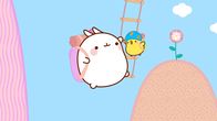 Molang – Piu Piu fehlt eine seltene Blume in seinem Herbarium.