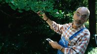 Löwenzahn Classics – Peter (Peter Lustig) entdeckt einen Ginkgo. Vielleicht ist das ja der gesuchte Baum von Onkel John?