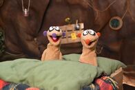 Unser Sandmännchen – Die Erdmännchen Jan und Henry werden durch ein seltsames Summen wach gehalten