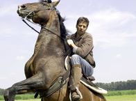 Tatort – Der Reitlehrer Markus Hoffschulte (Kai Wiesinger) sitzt auch bei wilden Pferden immer fest im Sattel.
