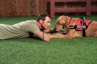 Der Hundetrainer - Lucky Dogs – Der Hundetrainer Brandon McMillan hat es sich zur Aufgabe gemacht, schwer vermittelbare Hunde aus dem Tierheim zu holen, sie zu trainieren und für jedes Tier anschließend das passende neue Zuhause zu finden ...
