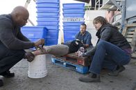 Navy CIS: L.A. – (v.li.) LL Cool J (Special Agent Sam Hanna), Chris O'Donnell (Special Agent G. Callen), Eric Christian Olsen (Marty Deeks).