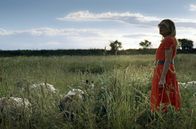More than Strangers – Sophia (Smaragda Karydi) verliert sich bei einer Pause in ihren Träumen und einer Schafherde.