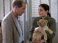 Tierärztin Dr. Mertens – Für Dr. Fährmann (Michael Lesch, l.) ist der Löwennachwuchs ein Garant für sein neues Projekt, Leipzig wieder im internationalen Löwenzuchtprogramm zu etablieren. Als er Dr. Susanne Mertens (Elisabeth Lanz, r.) mit dem kränkelnden Nachwuchs auf dem Weg in die Krankenstation trifft, brechen die alten Konflikte der beiden Kontrahenten wieder auf.