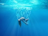 Under the Silver Lake – Im Stadtteil Silver Lake von Los Angeles, dessen Name von einem dortigen Gewässer herrührt, ermittelt ein junger Mann im mysteriösen Fall um das Verschwinden seiner Nachbarin.