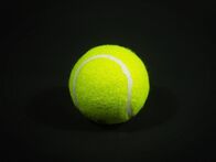Tennis: ATP 250 – Tennis ball