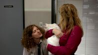 Workaholics – Blake Henderson (Blake Anderson)