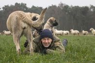 Faszination Erde – Dirk Steffens begleitet junge Herdenschutzhunde an ihrem ersten Tag. Die Kangals sind keine "Hütehunde". Sie haben eine spezielle Aufgabe. Dafür müssen sich die Kangal-Welpen mit den Schafen vertraut machen. Erst dann sind sie in der Lage, die Herde gegen Feinde wie Wölfe zu verteidigen.