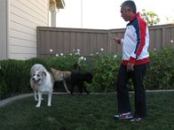 Der Hundeflüsterer – (6. Staffel) - Cesar Millan ist momentan der berühmteste und gefragteste Experte in Sachen Hundetraining. Aber hier geht es nicht nur darum, Hunde auszubilden - es ist vielmehr ein Training für Hundebesitzer. Jede Episode greift neue tagtägliche Probleme der Halter auf ...