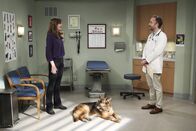 Mom – Als Bonnie (Allison Janney, l.) auf den Hund ihres Freundes aufpassen soll, läuft es nicht wie geplant ...