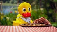 Unser Sandmännchen – Schnatterinchen hat leckere Kekse gebacken.