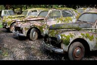 Patina-Paradiese – Diese Karosserien verschmelzen langsam mit der Natur um sie herum.