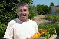 Zu Tisch ... – Juanito Ferrer Torres kocht gerne mit Orangen.