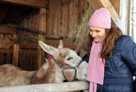 Sturm der Liebe – ARD STURM DER LIEBE FOLGE 1245 Uhr im ERSTEN. Eva (Uta Kargel) ist hingerissen von dem kleinen Esel Emil, doch dann erfährt sie etwas Entsetzliches...