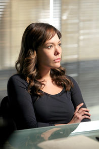 CSI: NY – CSI: NY (2011)