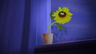 Unser Sandmännchen – Die kleine Blume braucht ganz schnell Wasser!