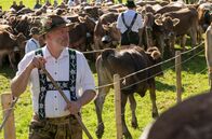 Daheim in den Bergen – Bergbauer Lorenz Huber (Max Herbrechter) fürchtet um den Hof seiner Familie.