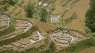 Imperium - Karten der Macht – Schon vor rund 7.000 Jahren bauen Menschen in China Reis an. Und noch heute ist das Land der größte Reisproduzent der Welt.