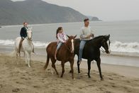 Navy CIS – Während sein Team um sein Leben bangt, träumt Gibbs (Mark Harmon, r.) von seiner ersten Frau Shannon (Darby Stanchfield, l.) und seiner Tochter Kelly (Mary Mouser, M.) und erinnert sich an die glücklichen Momente die sie zusammen verbrachten bis die beiden ermordet wurden ...