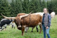 Land & Lecker – Katharina Deitmers auf dem Betrieb "Deitmers Texas Longhorn" in Nimsreuland.