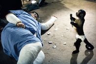 Malcolm mittendrin – Craig (David Higgins).