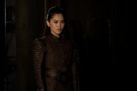 Warrior – Warrior (2020)