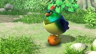 Das Dschungelbuch – Der dicke Vogel Rangu hat sich die Mango, in der der Smaragd steckt, gekrallt und will sie nicht mehr herausgeben.
