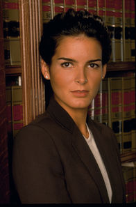 Law & Order – Law & Order (1998)