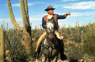 El Dorado – Der gealterte Scharfschütze Cole Thornton (John Wayne) kommt nach El Dorado.