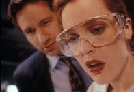 Akte X - Die unheimlichen Fälle des FBI – Akte X - Die unheimlichen Fälle des FBI (1995)