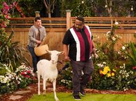 The Neighborhood – Dave Johnson (Max Greenfield, l.); Calvin Butler (Cedric the Entertainer, r.)