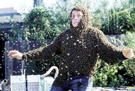 Malcolm mittendrin – Hal (Bryan Cranston) konnte seiner eigenen "Bienen-Kanone" nicht mehr rechtzeitig ausweichen.