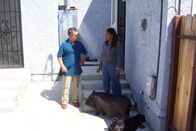 Der Hundeflüsterer – Die Psychologin Charlene (r.) ist Expertin auf dem Gebiet des menschlichen Verhaltens, doch ihr Hund Boo ist für sie ein Buch mit sieben Siegeln. Kann der Hundeflüsterer Cesar Millan (l.) weiterhelfen?