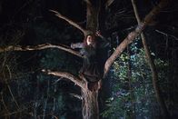 Salem – Salem (2014)