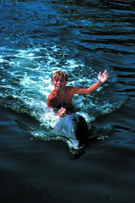 Flipper – Flipper (1963)