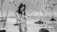 Helga – Helga Feddersen bei einem TV Auftritt 1964.