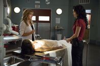 Rizzoli & Isles – Rizzoli & Isles (2016)