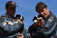 Die Rettungsflieger – Das Team der Rettungsflieger mit Alexander Karuhn (Matthias Leja, l.) und Jan Wollcke (Oliver Hörner, r.)versteht sich nicht nur auf das Bergen von Menschen.